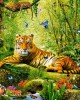 500 κομμάτια HIS MAJESTY, THE TIGER