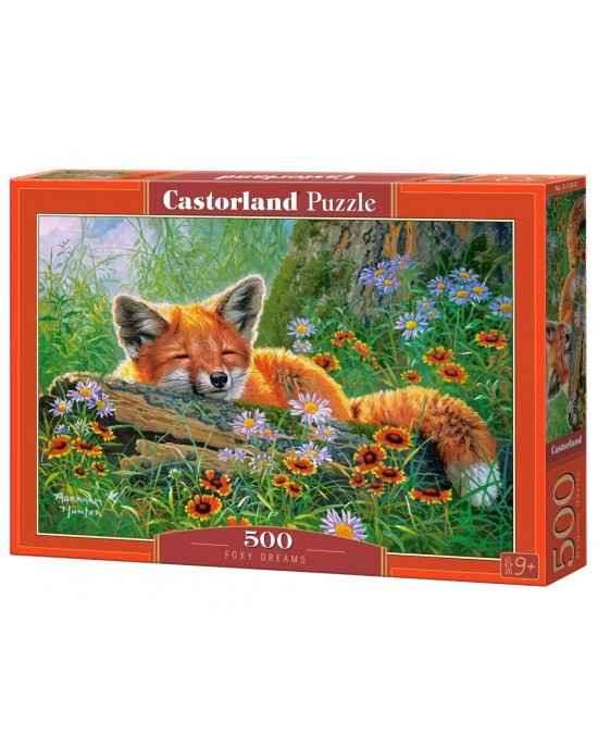 500 κομμάτια FOXY DREAMS