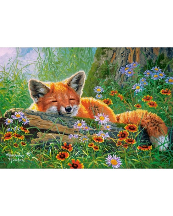 500 κομμάτια FOXY DREAMS