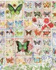 2000 κομμάτια BUTTERFLIES AND BLOSSOMS