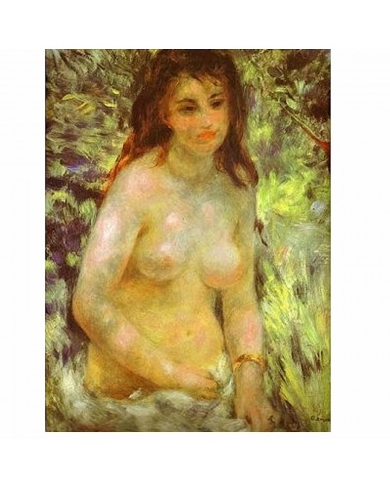 1000 κομμάτια NAKED IN THE SUN