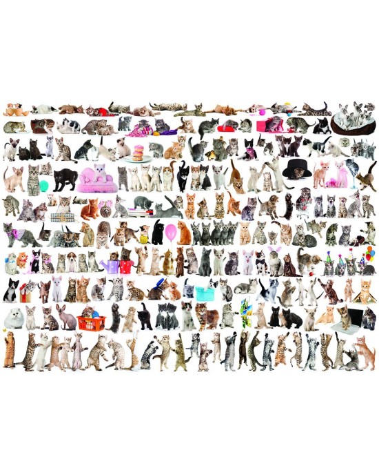 2000 κομμάτια THE WORLD OF CATS