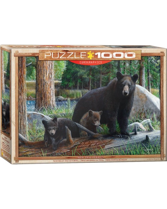 1000 κομμάτια NEW DISCOVERIES (SMART CUT)