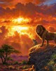 Ζωγραφική με αριθμούς Lion at Sunset 40x50cm