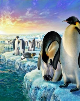 Ζωγραφική με αριθμούς Penguins on the ice floe 40x50cm