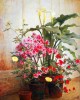 Διαμάντια Side of a Greenhouse - George Cochran Lambdin - 40x50cm