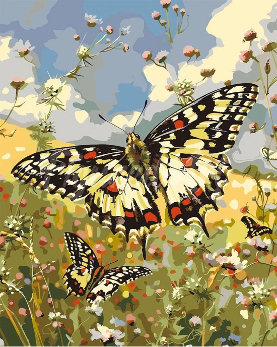 Ζωγραφική με αριθμούς Proserpina Butterfly and Wildflowers 40x50cm