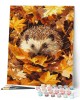 Ζωγραφική με αριθμούς Hedgehog in Autumn Leaves 40x50cm