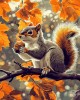Διαμάντια Autumn Squirrel 40x50cm