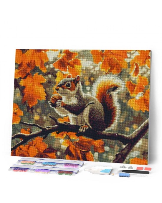 Διαμάντια Autumn Squirrel 40x50cm