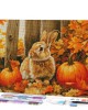 Διαμάντια Bunny and Pumpkins 40x50cm