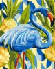 Ζωγραφική με αριθμούς Blue Flamingo 40x50cm