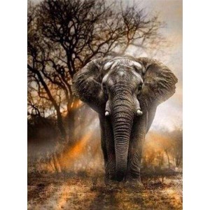 Διαμάντια Elephant in the Savanna 40x50cm