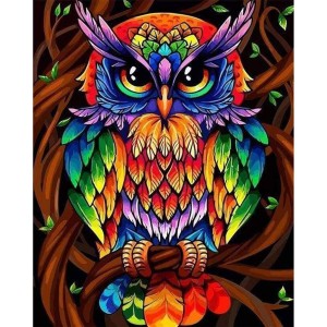 Ζωγραφική με αριθμούς Colorful Owl 40x50cm