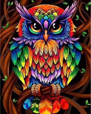 Ζωγραφική με αριθμούς Colorful Owl 40x50cm