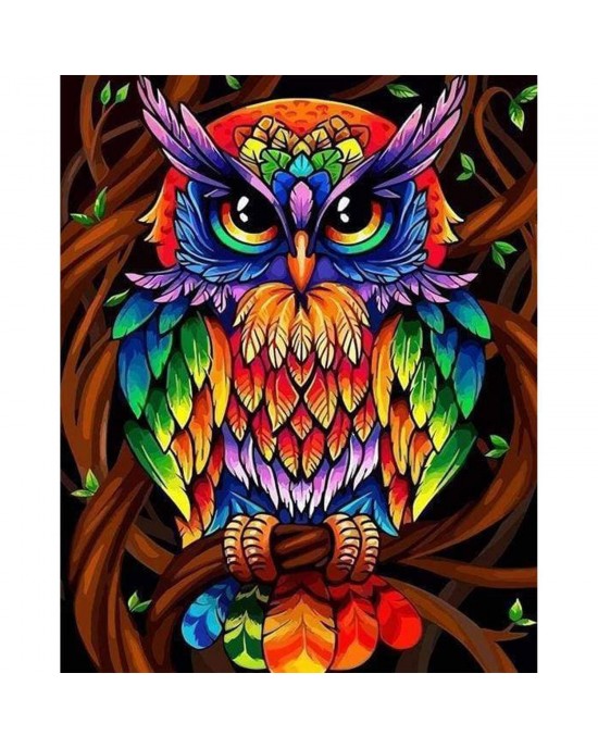 Ζωγραφική με αριθμούς Colorful Owl 40x50cm