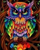 Ζωγραφική με αριθμούς Colorful Owl 40x50cm