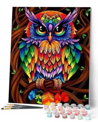 Ζωγραφική με αριθμούς Colorful Owl 40x50cm