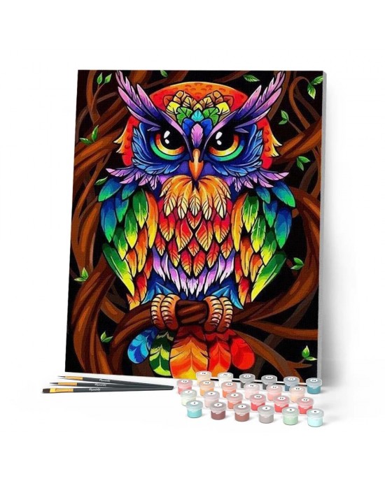 Ζωγραφική με αριθμούς Colorful Owl 40x50cm