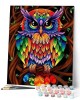 Ζωγραφική με αριθμούς Colorful Owl 40x50cm