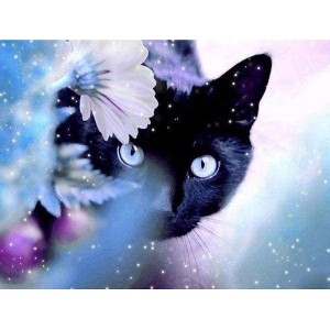 Διαμάντια Cat and Flower - 40x50cm