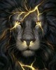 Διαμάντια Black Lion 40x50cm