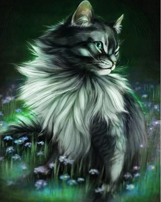 Διαμάντια Pretty Cat 40x50cm