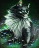Διαμάντια Pretty Cat 40x50cm