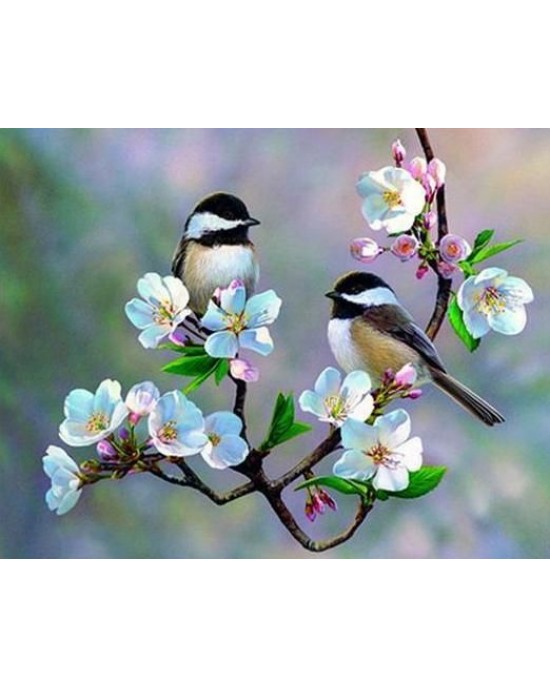 Διαμάντια Small Birds and White Flowers 40x50cm