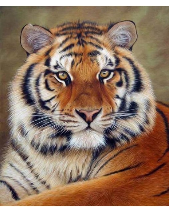 Διαμάντια Tiger Eye 40x50cm