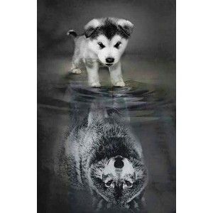 Διαμάντια Dog and Wolf Reflection 40x50cm