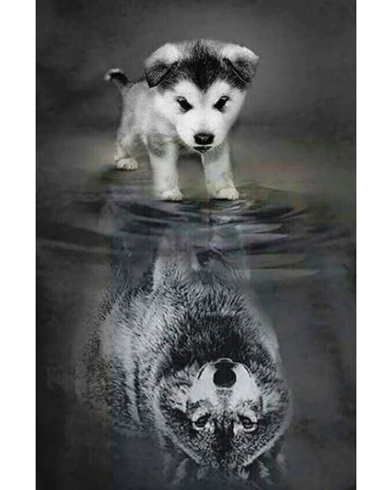 Διαμάντια Dog and Wolf Reflection 40x50cm