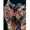 Διαμάντια Couple of zebras 40x50cm