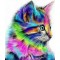 Διαμάντια Colorful Kitten 40x50cm