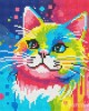 Διαμάντια Cat Abstract Pop Art 25x25cm