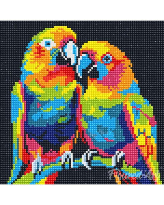 Διαμάντια Parrots Abstract Pop Art 25x25cm