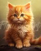 Διαμάντια Fluffy Orange Kitten 25x25cm