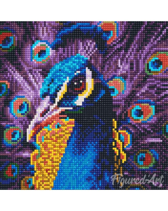 Διαμάντια Graceful Peacock 25x25cm