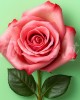 Διαμάντια Stunning Pink Orange 25x25cm