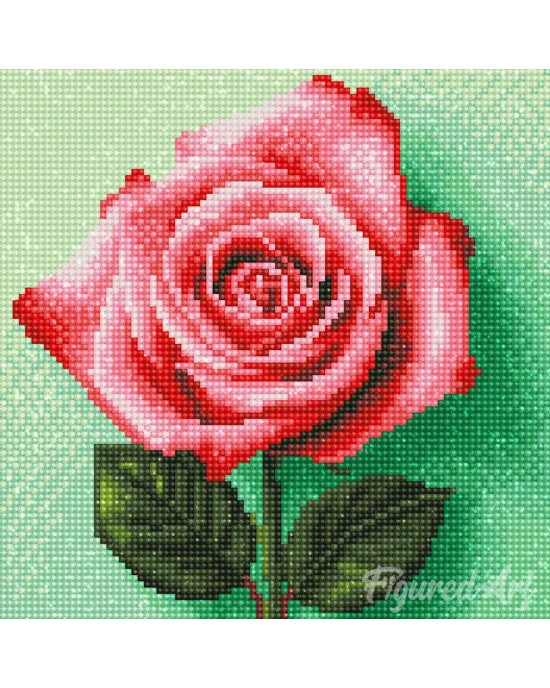 Διαμάντια Stunning Pink Orange 25x25cm