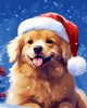 Διαμάντια Playful Dog in Snowy Christmas 25x25cm