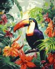 Ζωγραφική με αριθμούς Toucan in the Jungle 40x50cm