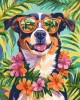 Ζωγραφική με αριθμούς Holiday Dog 40x50cm