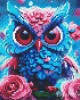 Διαμάντια Little Blue Owl 25x25cm