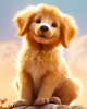 Διαμάντια Cute Golden Retriever Pup 25x25cm