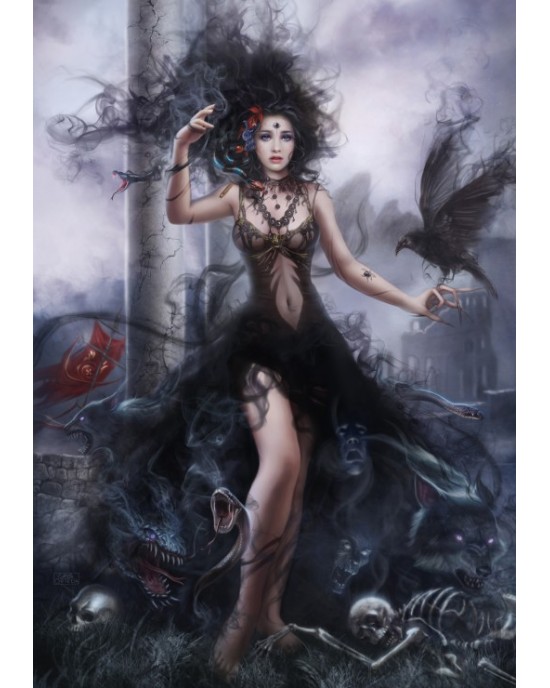 1000 κομμάτια SHADOWNESS