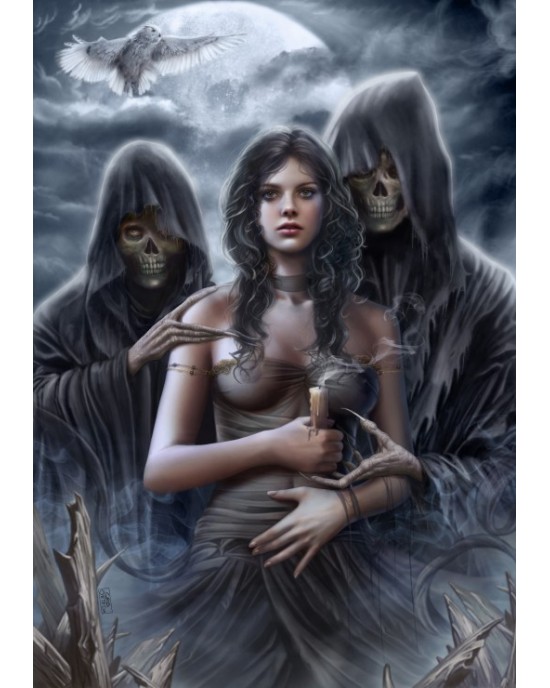 1000 κομμάτια SPIRIT OF THE NIGHT