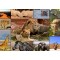 1500 κομμάτια COLLAGE - WILDLIFE