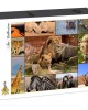 1500 κομμάτια COLLAGE - WILDLIFE