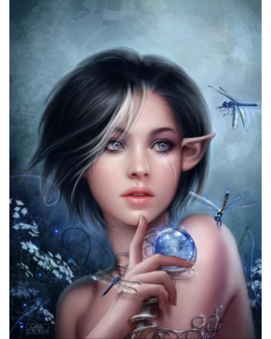 2000 κομμάτια THE CURSE OF THE DRAGONFLY